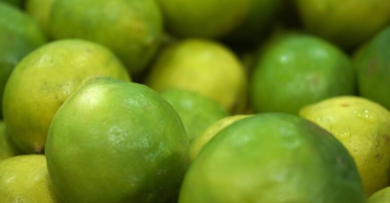 Juicing Is The Tasty Way That You Can Get Important Nutrients Easily
