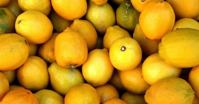 Tips For The Real “Juice” On Juicing