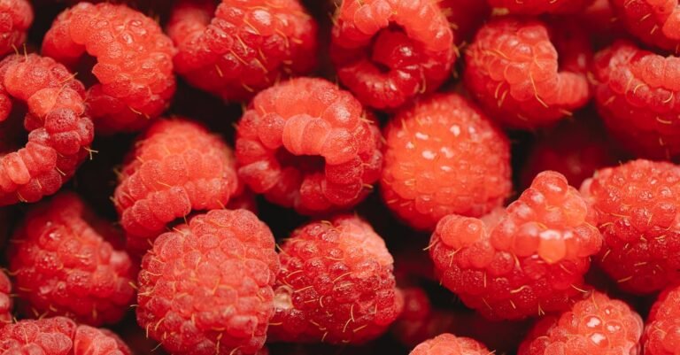 Want To Add Juicing To Your Every Day Diet? Start Here!