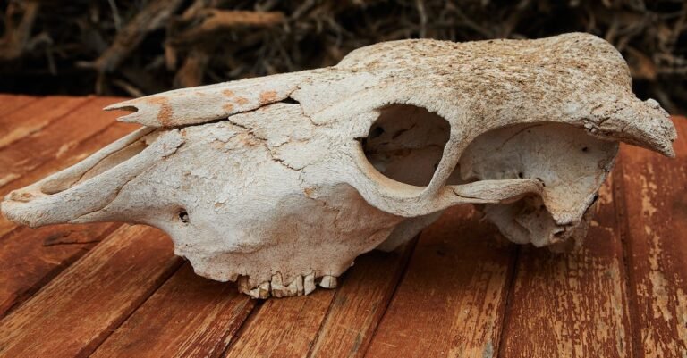 Improve Your Smile With These Teeth Whitening Tips